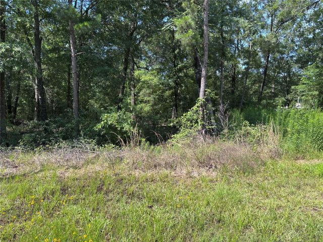 00 Southland, Livingston, TX 77351