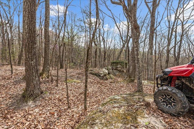 4660 S Pittsburg Mountain Road, South Pittsburg, TN 37380