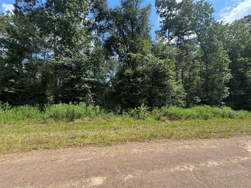 0 Mcrae Circle, Conroe, TX 77303