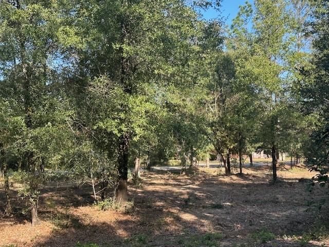 0 Newman Road, Mobile, AL 36695