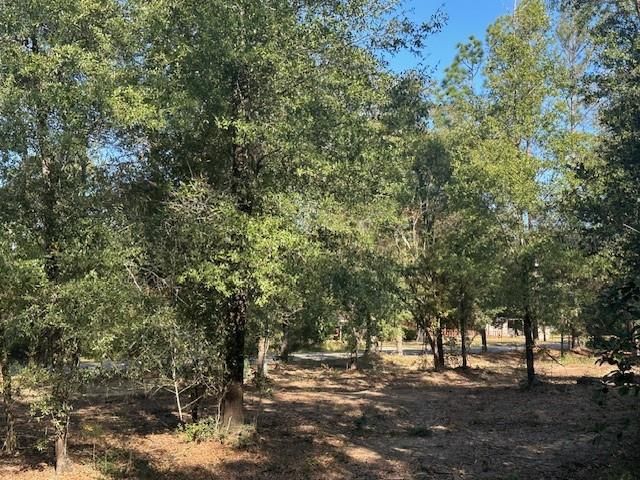 0 Newman Road, Mobile, AL 36695