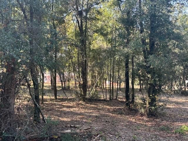 0 Newman Road, Mobile, AL 36695