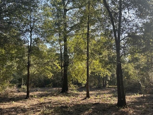 0 Newman Road, Mobile, AL 36695