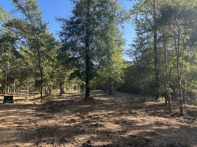 0 Newman Road, Mobile, AL 36695