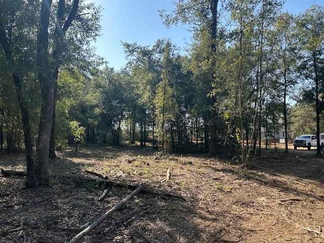 0 Newman Road, Mobile, AL 36695