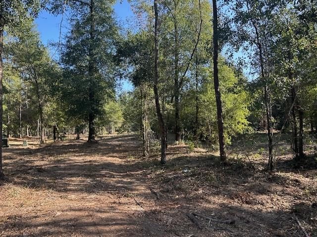 0 Newman Road, Mobile, AL 36695