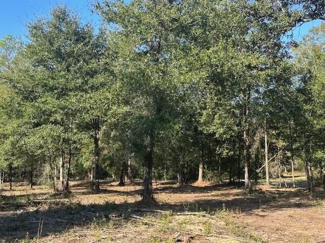 0 Newman Road, Mobile, AL 36695