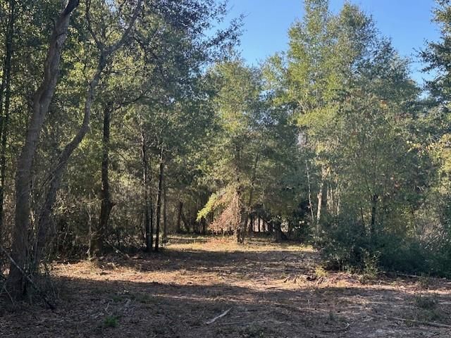 0 Newman Road, Mobile, AL 36695