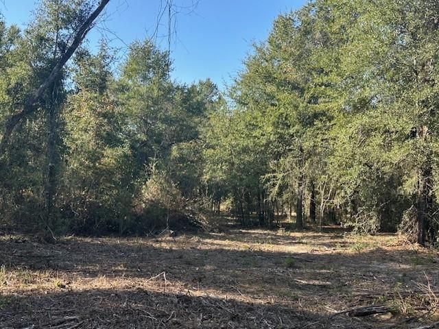 0 Newman Road, Mobile, AL 36695