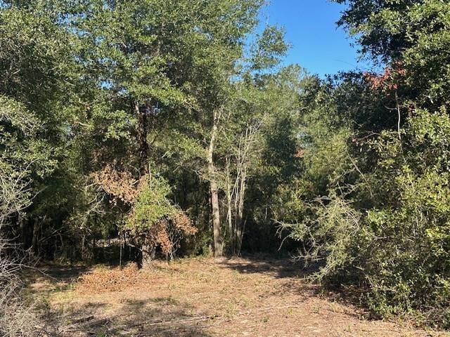 0 Newman Road, Mobile, AL 36695