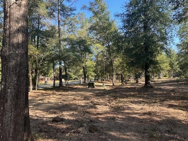 0 Newman Road, Mobile, AL 36695