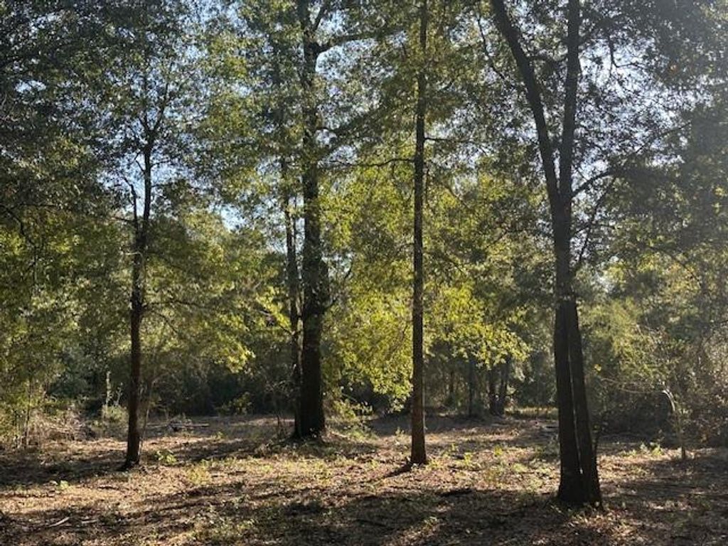 0 Newman Road, Mobile, AL 36695 — photo 2