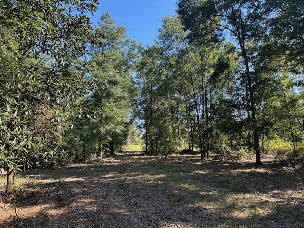 0 Newman Road, Mobile, AL 36695 — photo 3