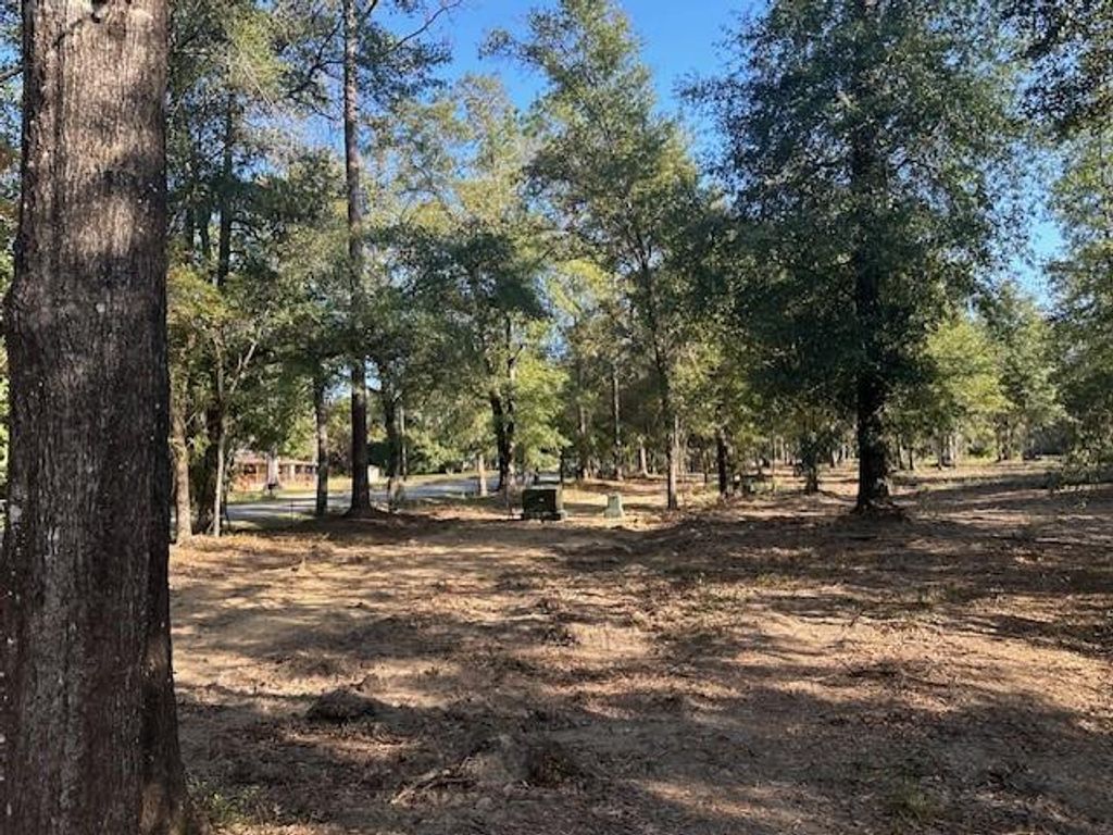 0 Newman Road, Mobile, AL 36695 — photo 4