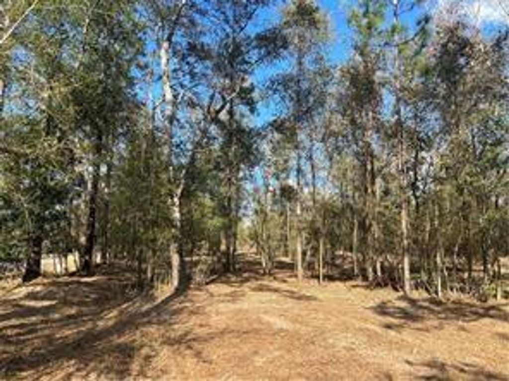 0 Newman Road, Mobile, AL 36695 — photo 5