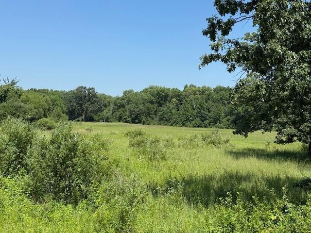 tbd Azalea Road, Motley Twp, MN 56466
