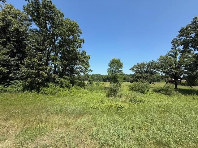 tbd Azalea Road, Motley Twp, MN 56466