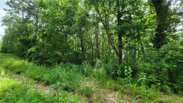 29,30,31,32 Eddie Martin Drive, Livingston, TX 77351