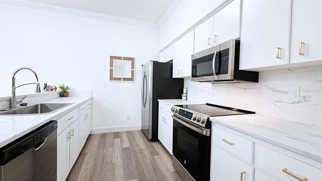 2843 THAXTON DRIVE 33, Palm Harbor, FL 34684