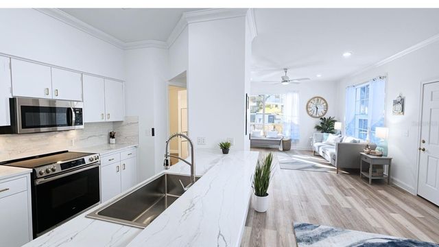 2843 THAXTON DRIVE 33, Palm Harbor, FL 34684