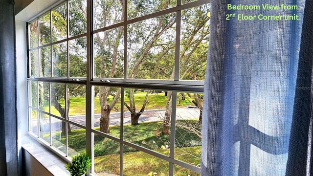 2843 THAXTON DRIVE 33, Palm Harbor, FL 34684