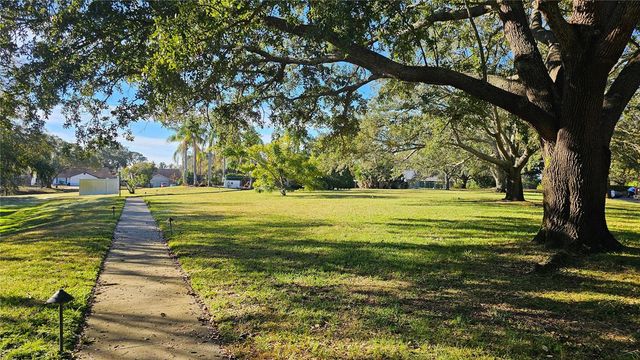 2843 THAXTON DRIVE 33, Palm Harbor, FL 34684