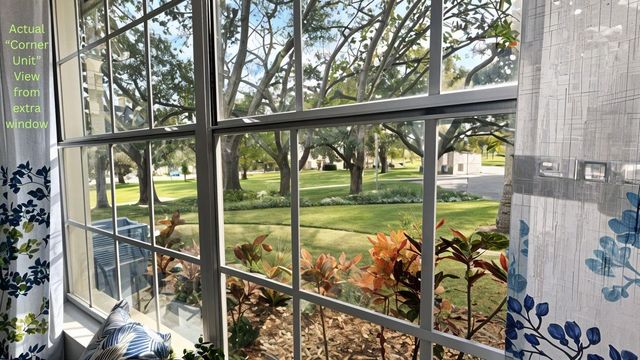 2843 THAXTON DRIVE 33, Palm Harbor, FL 34684