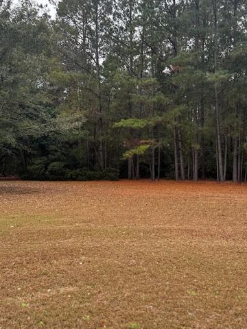 6430 Legendary Lane, Wedgefield, SC 29168