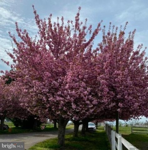 22244 SAM FRED RD, Middleburg, VA 20117