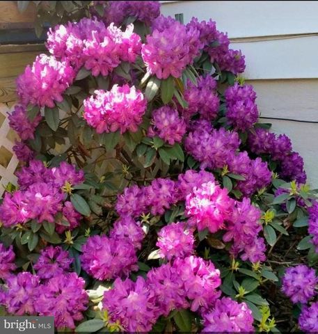 22244 SAM FRED RD, Middleburg, VA 20117