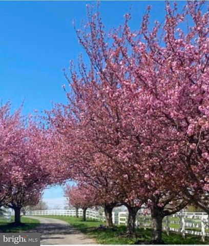 22244 SAM FRED RD, Middleburg, VA 20117