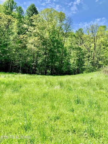1088 Jones Ridge Rd, Speedwell, TN 37870