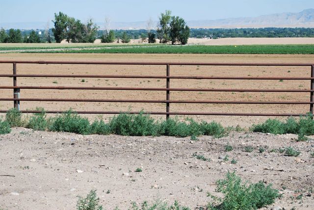 3148 C Road, Grand Junction, CO 81503