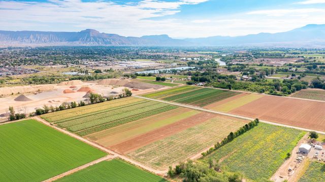 3148 C Road, Grand Junction, CO 81503