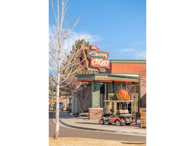 11736 Fenton St, Westminster, CO 80020