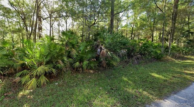 8395 N Ira Martin Avenue, Crystal River, FL 34428