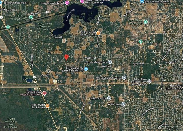8395 N Ira Martin Avenue, Crystal River, FL 34428