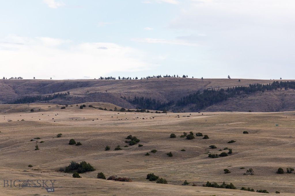 858 Lower Sweet Grass, Big Timber, MT 59011 photo 18