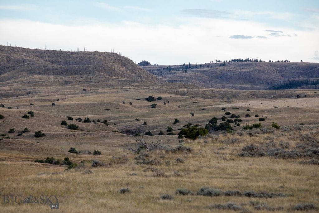 858 Lower Sweet Grass, Big Timber, MT 59011 photo 9