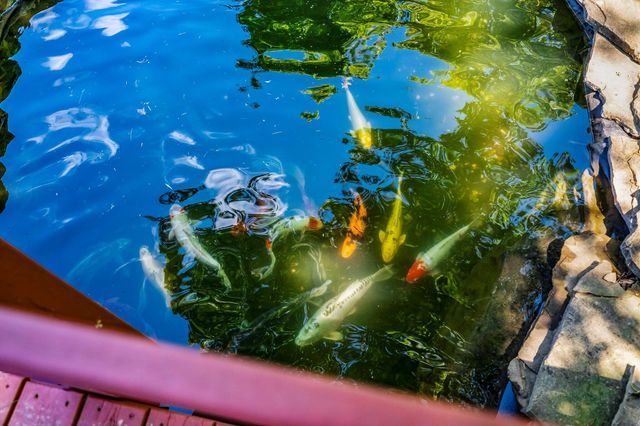 5628 S Winsor Drive, Battlefield, MO 65619