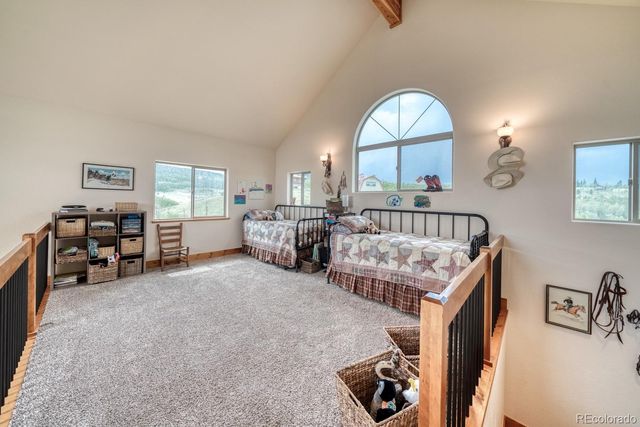 2977 High Creek Road, Fairplay, CO 80440