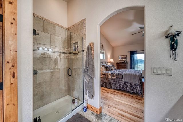 2977 High Creek Road, Fairplay, CO 80440