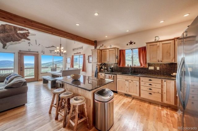 2977 High Creek Road, Fairplay, CO 80440