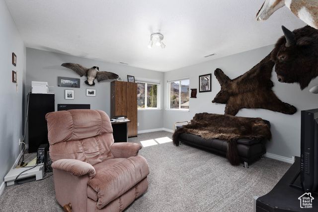 315 S 300 E, Monroe, UT 84754