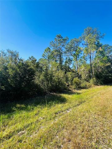 13920 SE 204TH TERRACE, Hawthorne, FL 32640