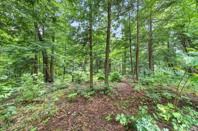 50 Ross Place, Monterey, TN 38574
