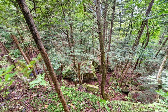 50 Ross Place, Monterey, TN 38574