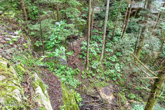 50 Ross Place, Monterey, TN 38574