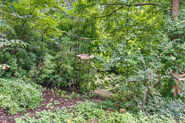 50 Ross Place, Monterey, TN 38574