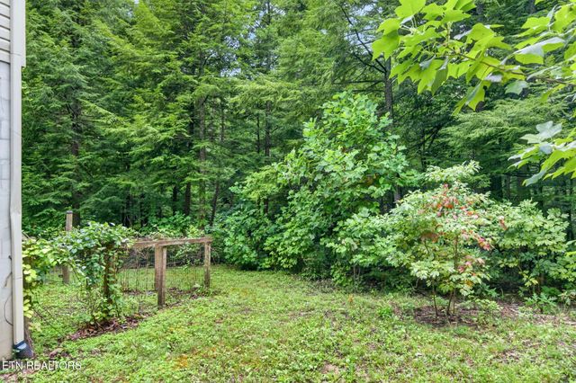 50 Ross Place, Monterey, TN 38574